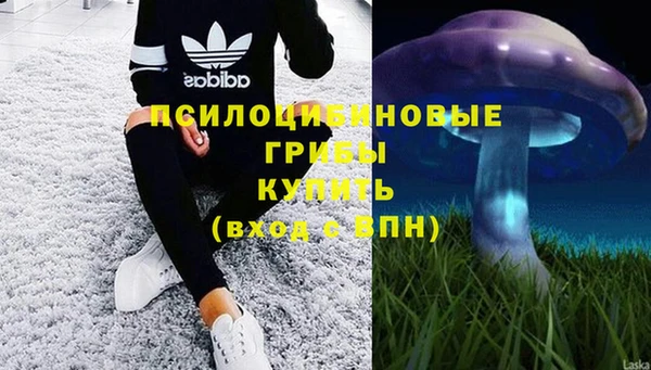 ГАЛЛЮЦИНОГЕННЫЕ ГРИБЫ Арсеньев