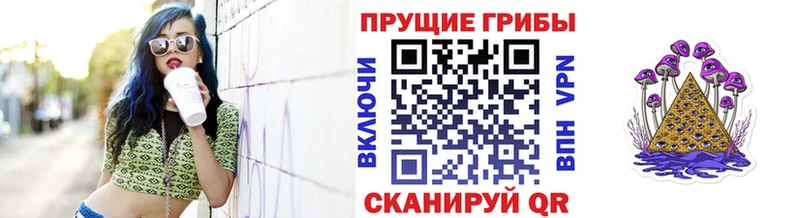 даркнет Telegram продажа наркотиков Сосновый Бор Галлюциногенные грибы GOLDEN TEACHER