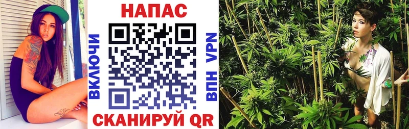 купить наркотик  Сосновый Бор  Бошки марихуана гибрид 